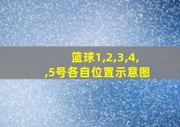 篮球1,2,3,4,,5号各自位置示意图