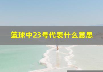 篮球中23号代表什么意思