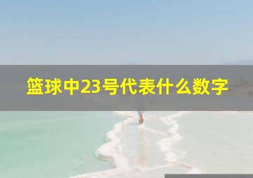 篮球中23号代表什么数字