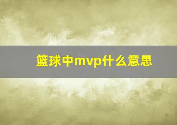 篮球中mvp什么意思