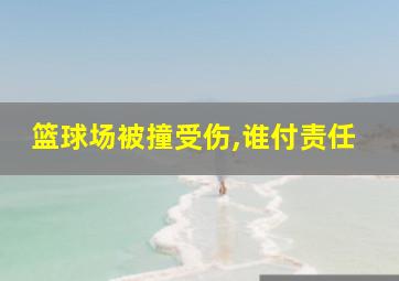 篮球场被撞受伤,谁付责任