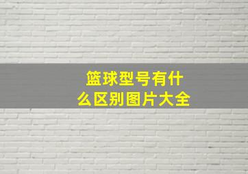 篮球型号有什么区别图片大全