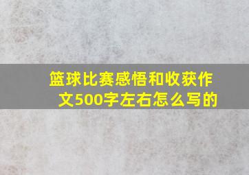 篮球比赛感悟和收获作文500字左右怎么写的