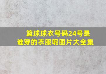 篮球球衣号码24号是谁穿的衣服呢图片大全集