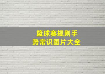 篮球赛规则手势常识图片大全