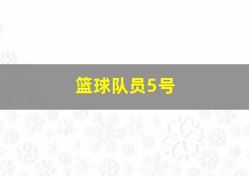 篮球队员5号