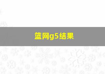 篮网g5结果