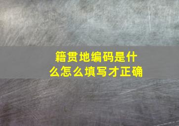 籍贯地编码是什么怎么填写才正确