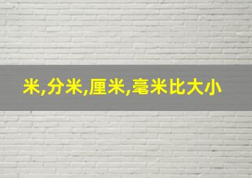 米,分米,厘米,毫米比大小