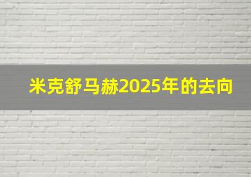 米克舒马赫2025年的去向