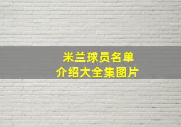 米兰球员名单介绍大全集图片