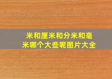 米和厘米和分米和毫米哪个大些呢图片大全