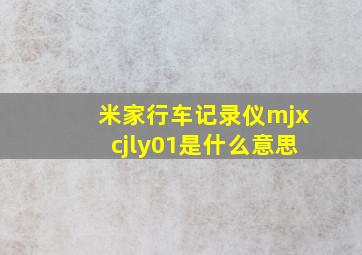 米家行车记录仪mjxcjly01是什么意思