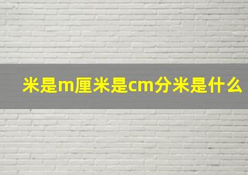 米是m厘米是cm分米是什么