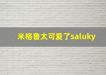 米格鲁太可爱了saluky