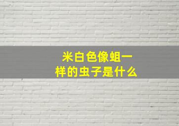 米白色像蛆一样的虫子是什么