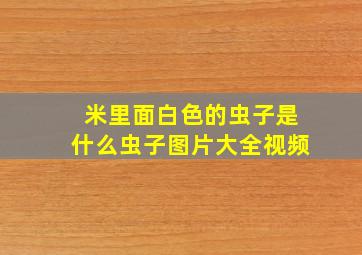 米里面白色的虫子是什么虫子图片大全视频