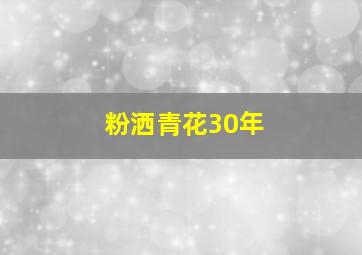 粉洒青花30年