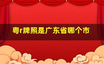 粤r牌照是广东省哪个市