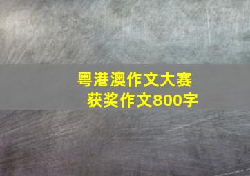 粤港澳作文大赛获奖作文800字