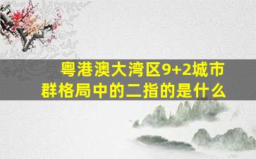 粤港澳大湾区9+2城市群格局中的二指的是什么