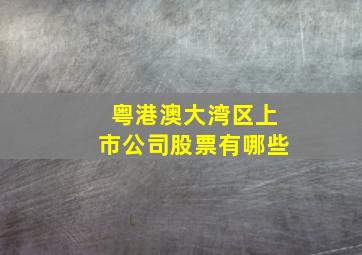 粤港澳大湾区上市公司股票有哪些