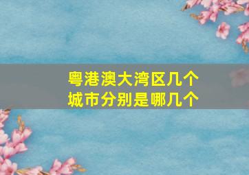 粤港澳大湾区几个城市分别是哪几个