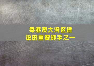 粤港澳大湾区建设的重要抓手之一