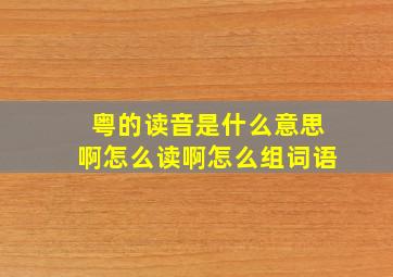 粤的读音是什么意思啊怎么读啊怎么组词语