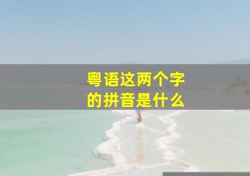 粤语这两个字的拼音是什么