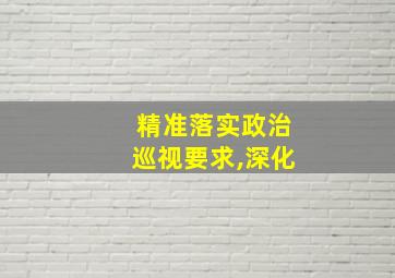 精准落实政治巡视要求,深化