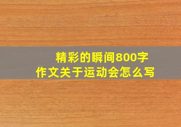 精彩的瞬间800字作文关于运动会怎么写