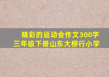 精彩的运动会作文300字三年级下册山东大柳行小学