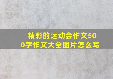 精彩的运动会作文500字作文大全图片怎么写