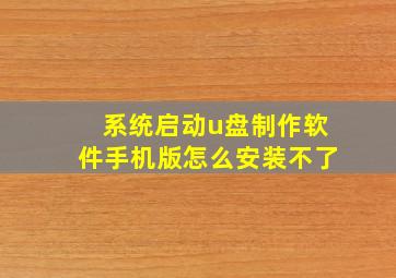 系统启动u盘制作软件手机版怎么安装不了