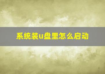 系统装u盘里怎么启动