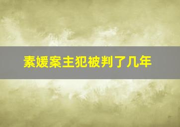 素媛案主犯被判了几年