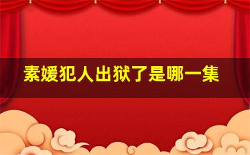 素媛犯人出狱了是哪一集