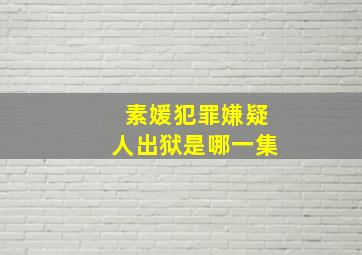 素媛犯罪嫌疑人出狱是哪一集