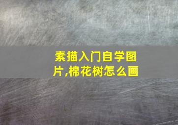 素描入门自学图片,棉花树怎么画