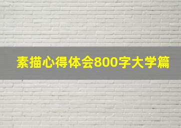 素描心得体会800字大学篇