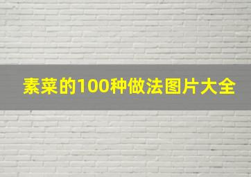 素菜的100种做法图片大全