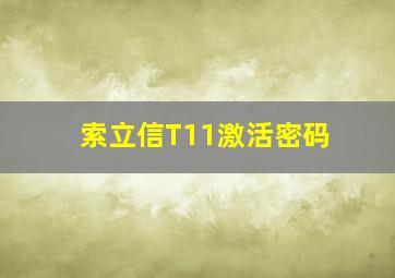 索立信T11激活密码