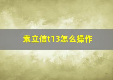 索立信t13怎么操作