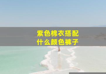 紫色棉衣搭配什么颜色裤子