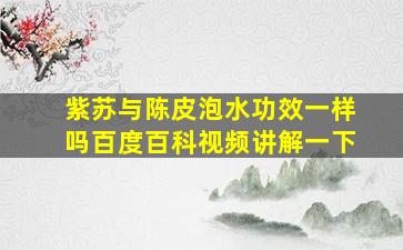 紫苏与陈皮泡水功效一样吗百度百科视频讲解一下