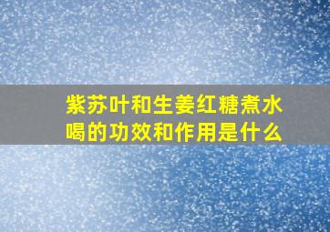 紫苏叶和生姜红糖煮水喝的功效和作用是什么