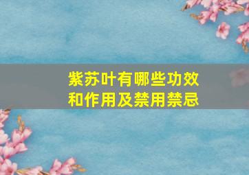 紫苏叶有哪些功效和作用及禁用禁忌