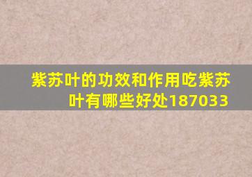 紫苏叶的功效和作用吃紫苏叶有哪些好处187033