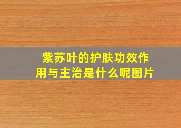 紫苏叶的护肤功效作用与主治是什么呢图片